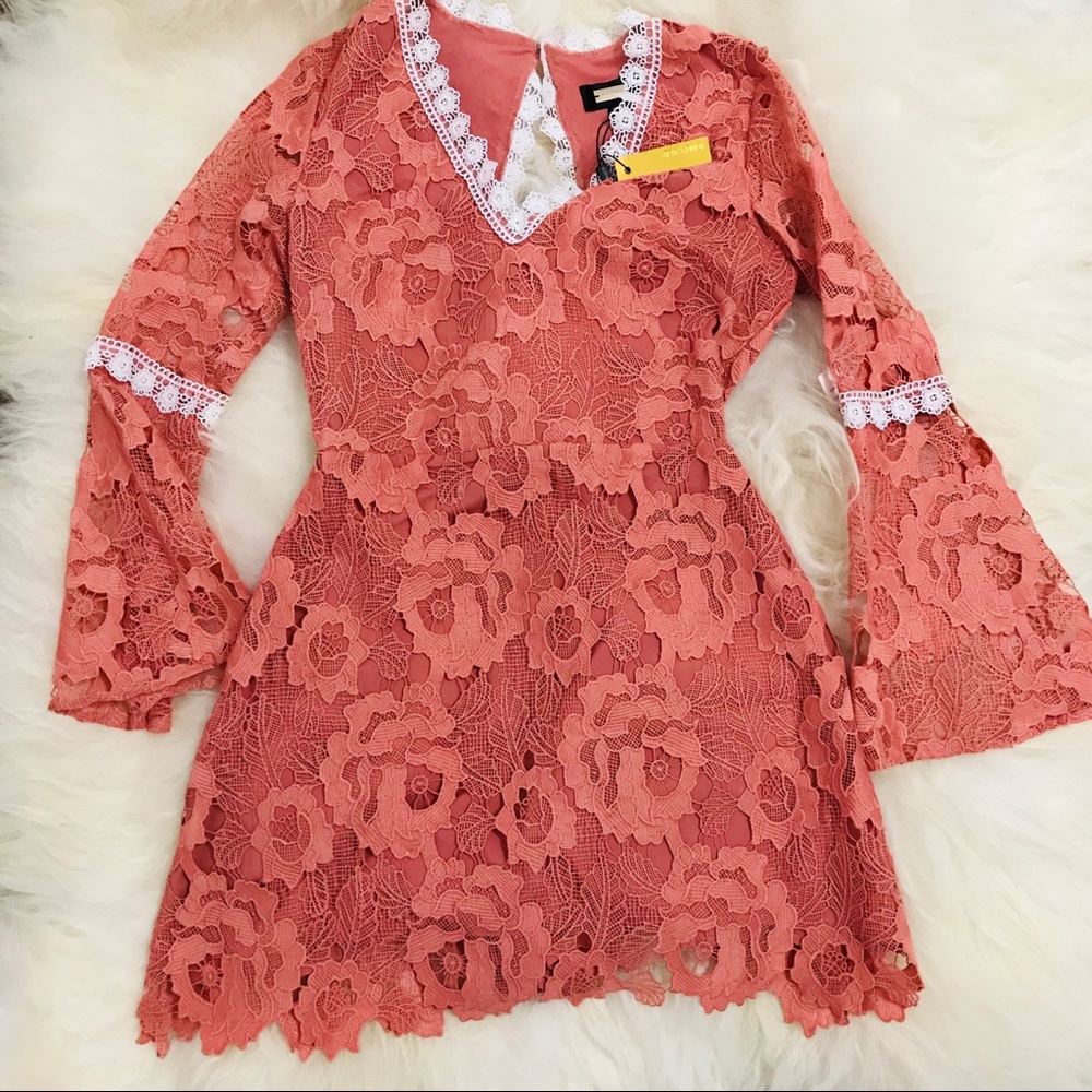 Alexia Admor Ruffled Long Sleeve Lace Dress - Picture 3 of 8